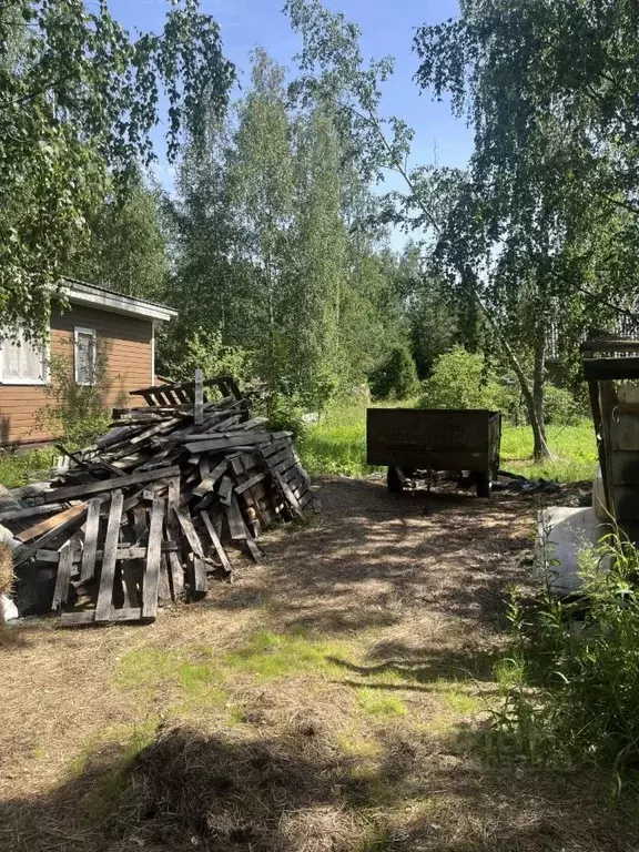 Участок в Санкт-Петербург, Санкт-Петербург, Павловск Павловское-2 СНТ, ... - Фото 1