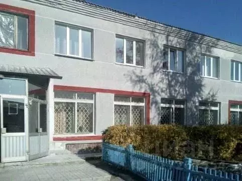 Помещение свободного назначения в Новосибирская область, с. Здвинск ... - Фото 0