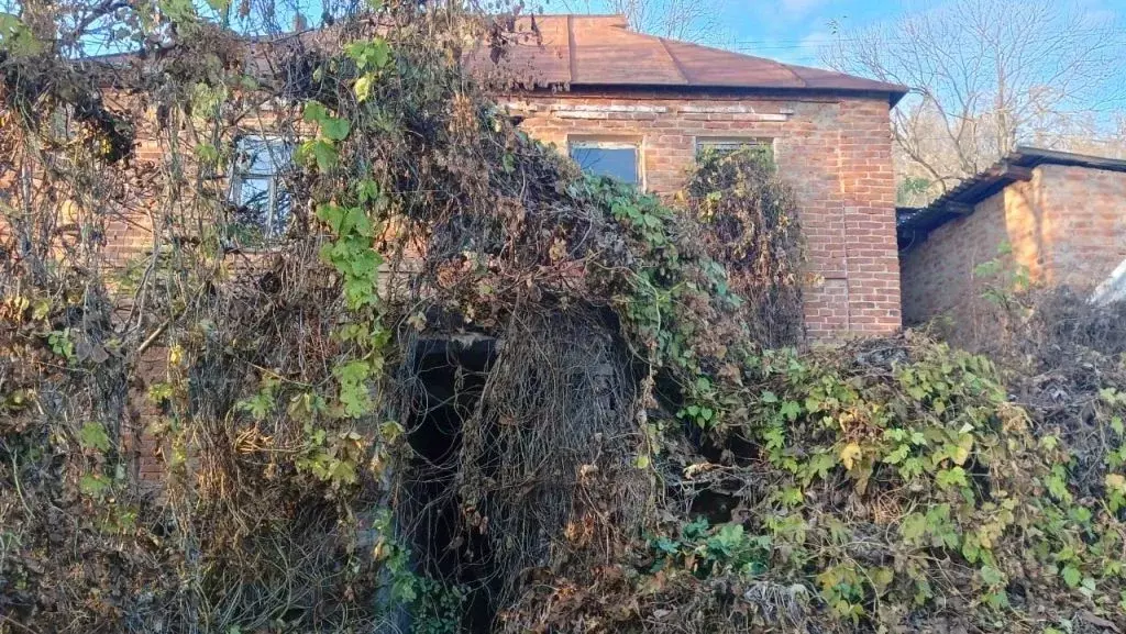 Дом в Белгородская область, Борисовка городское поселение, Борисовка ... - Фото 1