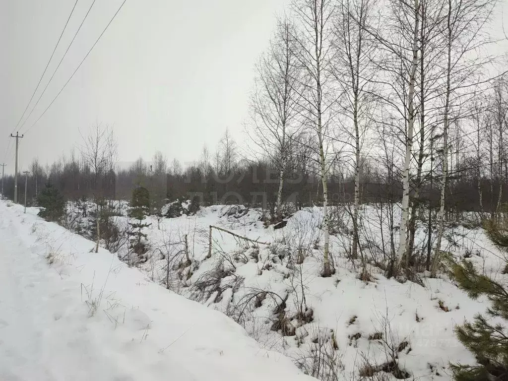 Участок в Новгородская область, Старорусский район, Великосельское ... - Фото 1