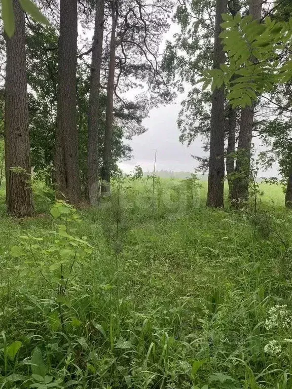 Участок в Ленинградская область, Приозерский район, пос. Сосново  ... - Фото 0