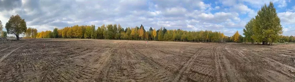 Участок в Ленинградская область, Приозерский район, Сосновское с/пос, ... - Фото 0