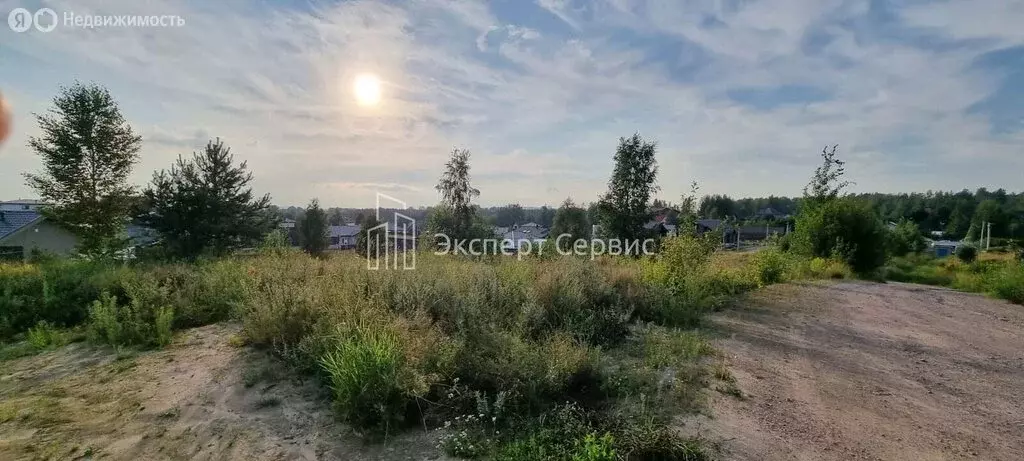 Участок в Колтушское городское поселение, коттеджный посёлок Тавры ... - Фото 1