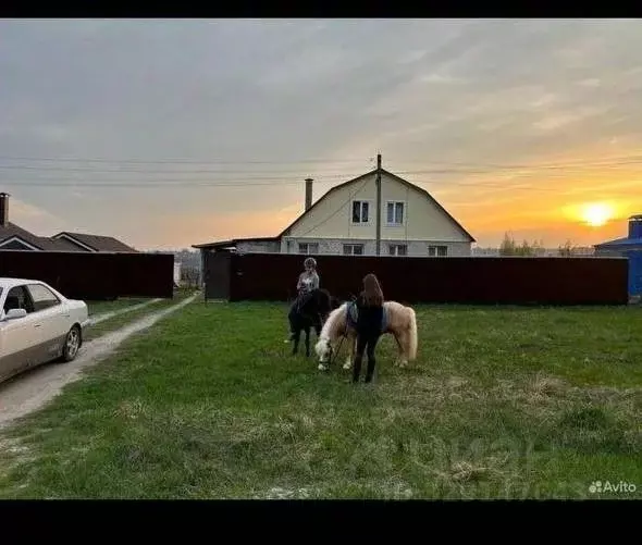 Дом в Курская область, Курский район, Щетинский сельсовет, д. Шуклинка ... - Фото 1