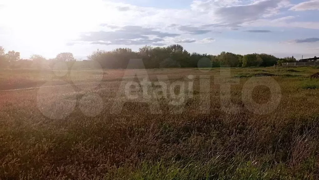 Участок 6 сот. (ИЖС) - Фото 1