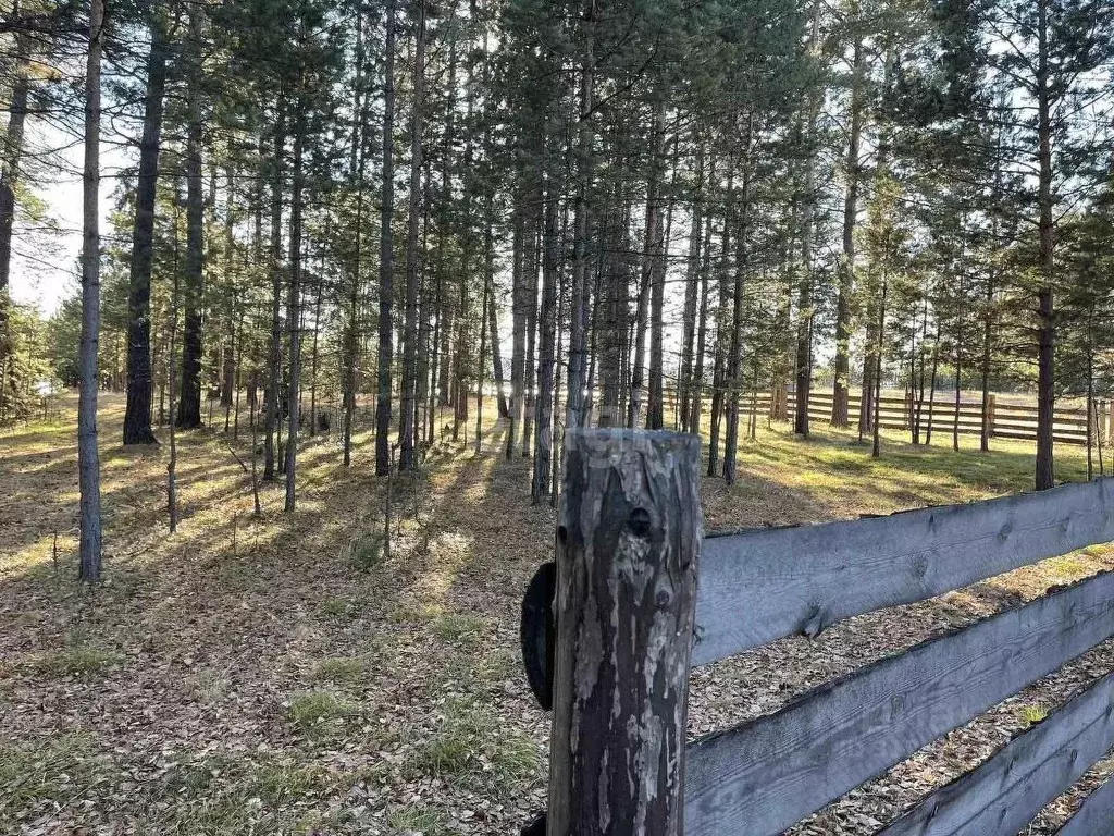 Участок в Бурятия, Баргузинский район, с. Макаринино (Башарово) ул. ... - Фото 1