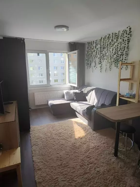 1-к кв. Санкт-Петербург дор. Муринская, 29 (21.0 м) - Фото 1