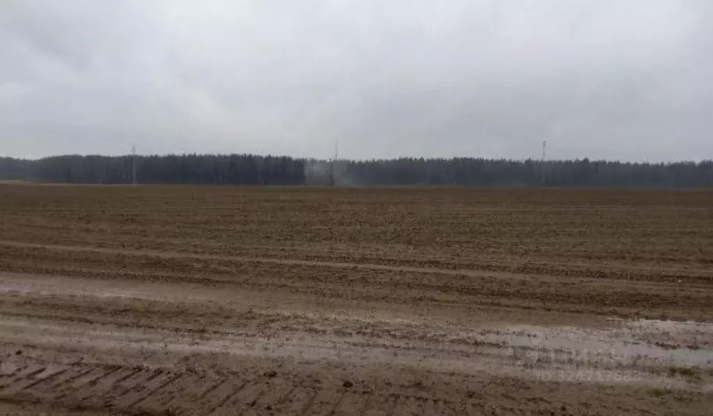 Участок в Московская область, Дмитровский муниципальный округ, д. ... - Фото 1