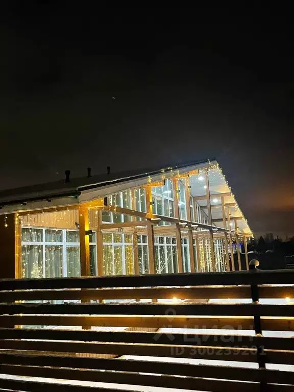 Комната Ленинградская область, Ломоносовский район, д. Низино ул. ... - Фото 1