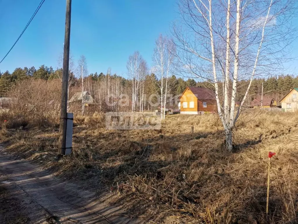 Участок в Томская область, Томский район, Лесная дача СНТ 328 (5.72 ... - Фото 1