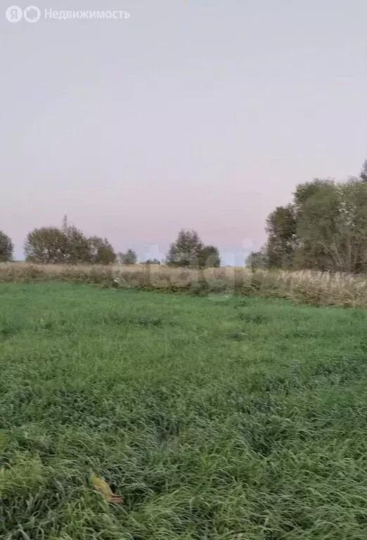 Участок в Заокский район, сельское поселение Демидовское (64000 м) - Фото 0
