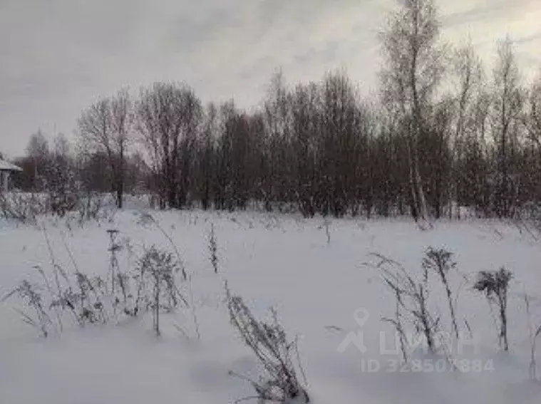 Участок в Московская область, Серпухов городской округ, с. Липицы ул. ... - Фото 1