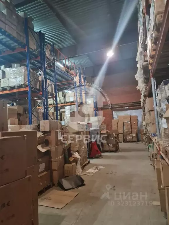 Склад в Московская область, Химки городской округ, д. Дубровки ул. ... - Фото 1