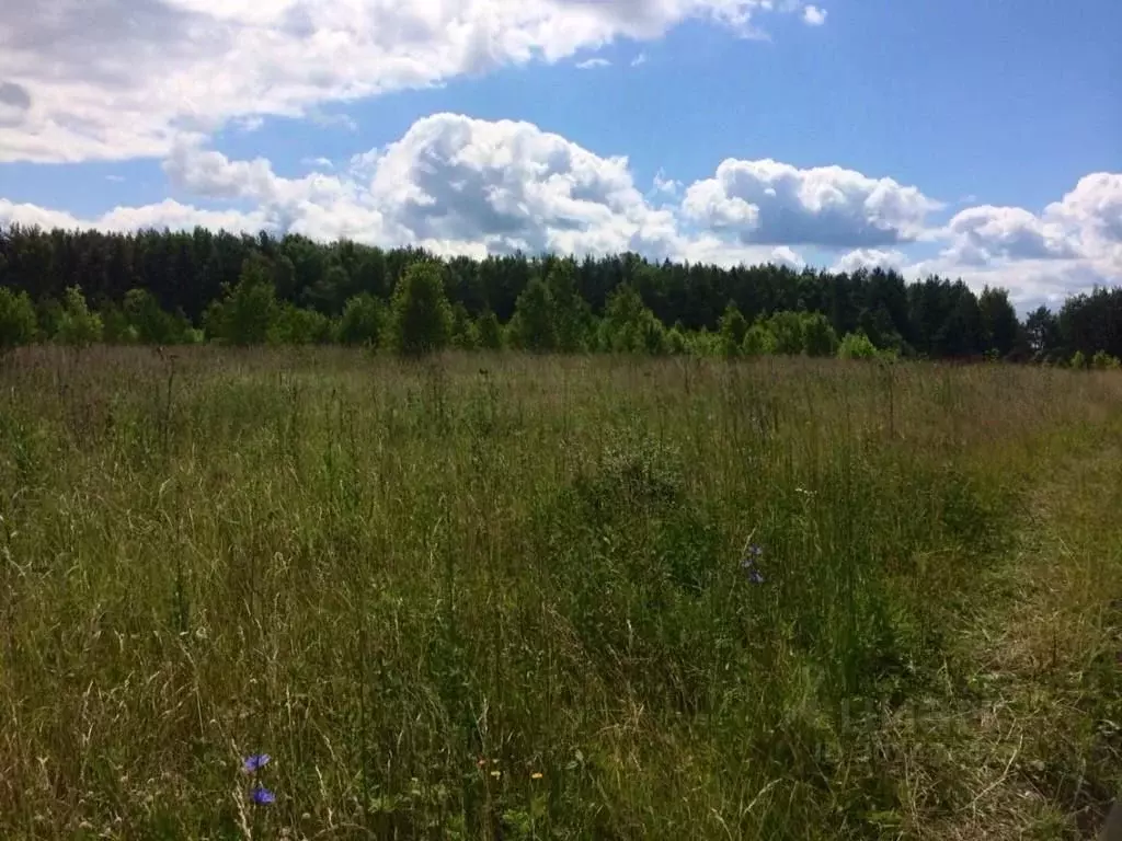 Участок в Владимирская область, Александровский район, Андреевское ... - Фото 0