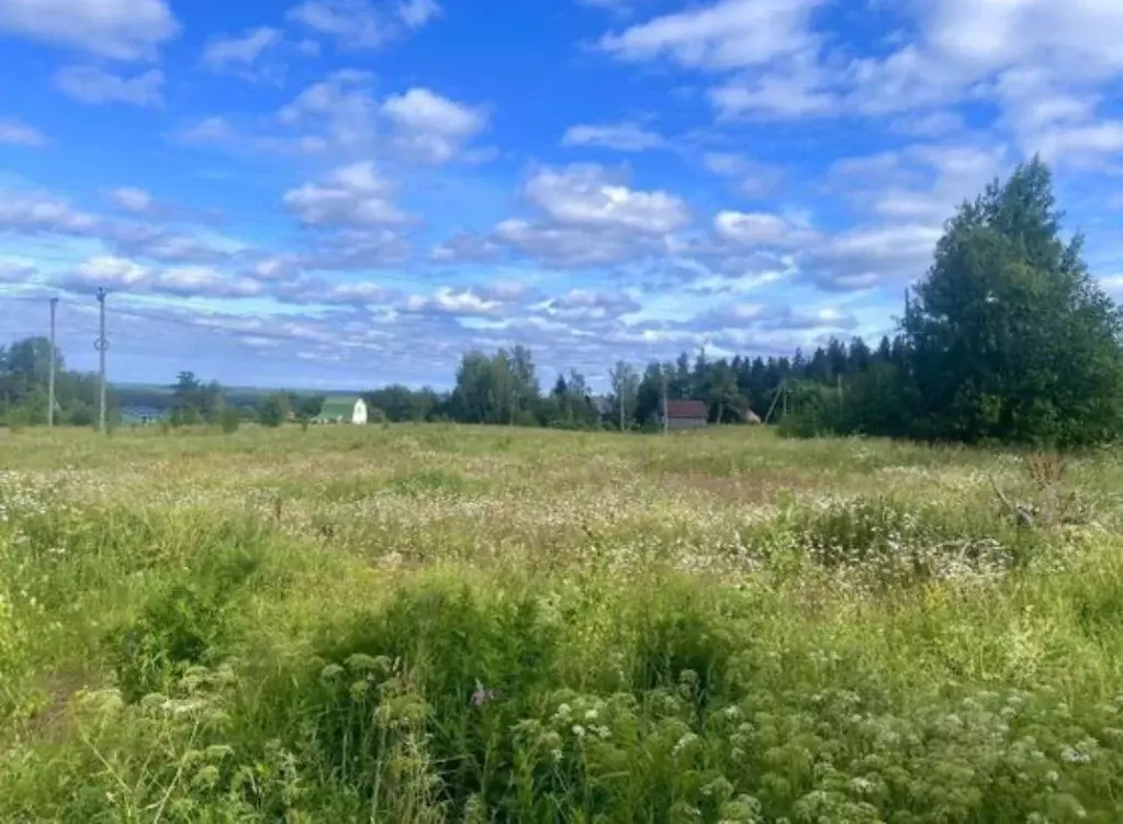 участок в ленинградская область, кировский район, назиевское городское . - Фото 1