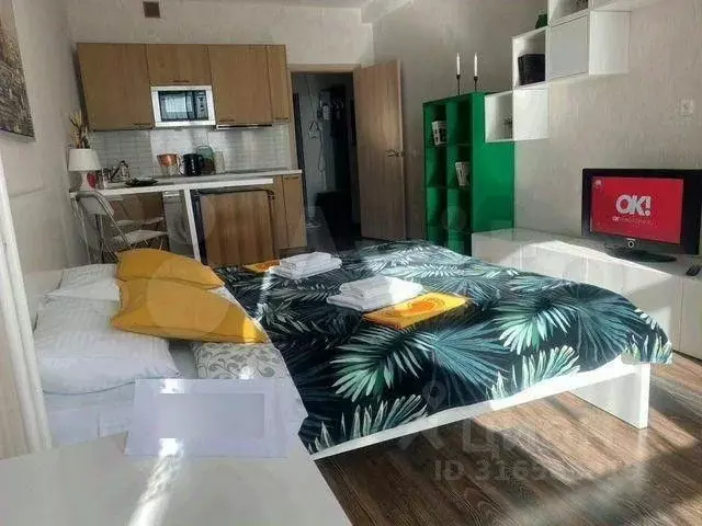 1-к кв. Санкт-Петербург Пулковское ш., 14Д (26.0 м) - Фото 1