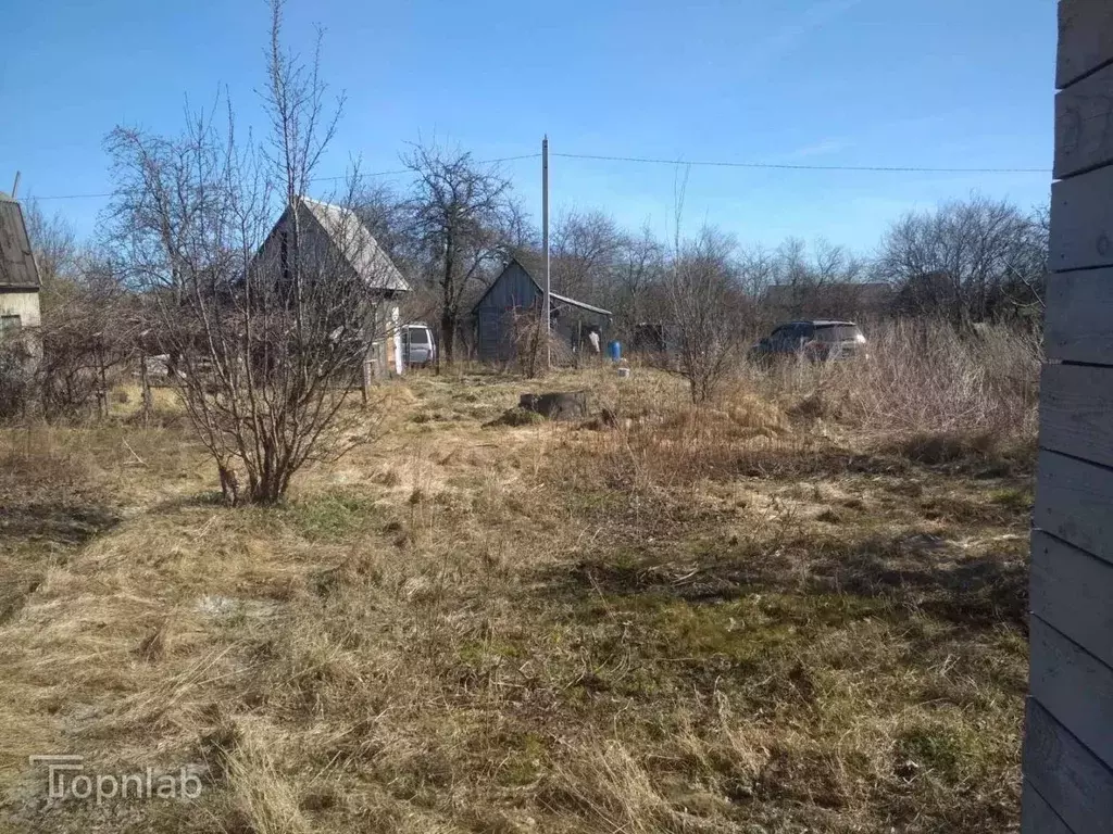 Дом в Калининградская область, Калининград Дельфин СНТ, ул. Сосновая, ... - Фото 1