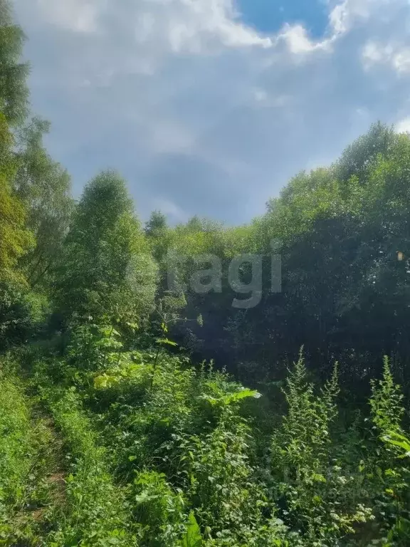 Участок в Калужская область, Жуковский муниципальный округ, с. ... - Фото 1