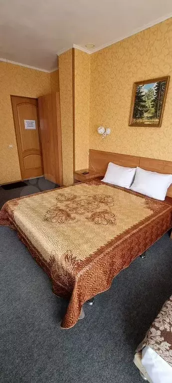 Комната 15 м, 2/3 эт. - Фото 1