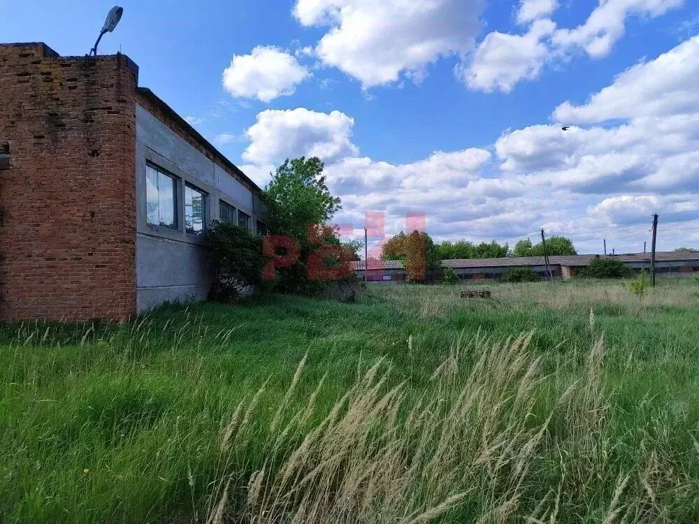 Производственное помещение в Пензенская область, Колышлей ... - Фото 2