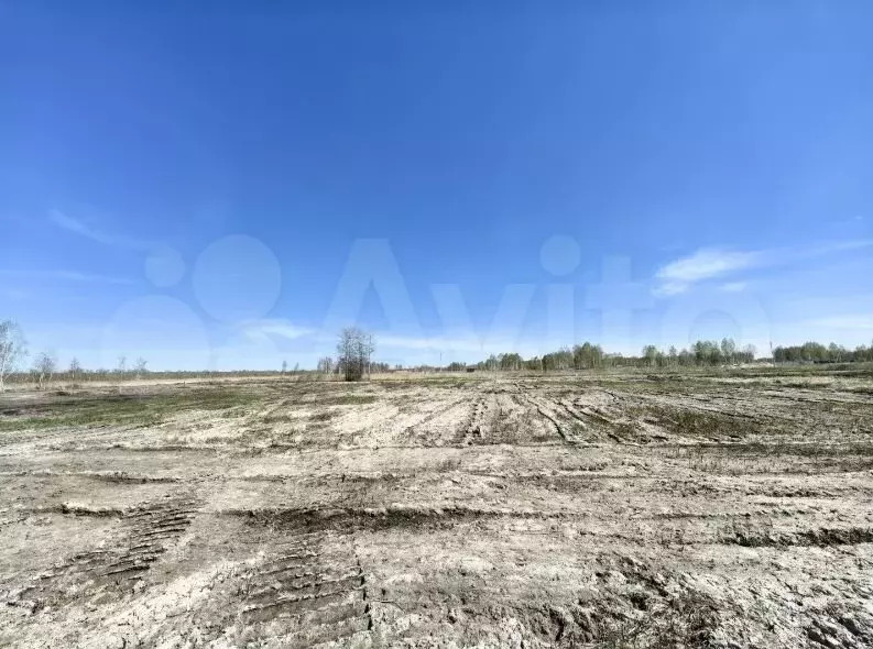 Участок 6 сот. (СНТ, ДНП) - Фото 1