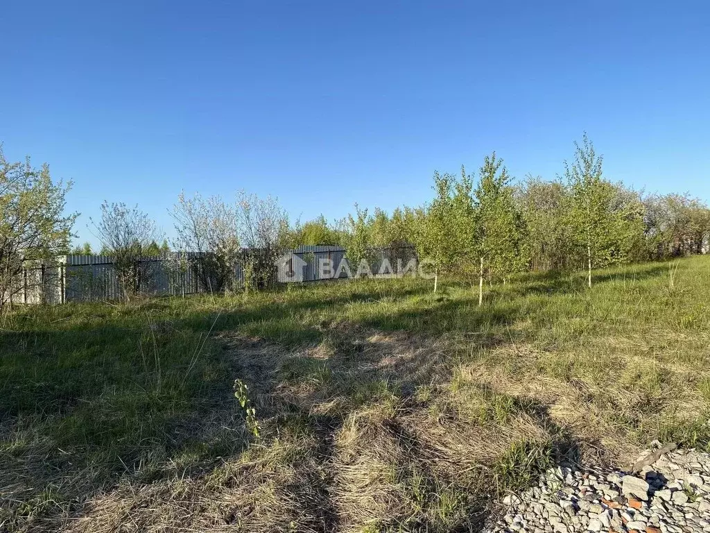 Участок в Нижегородская область, Нижний Новгород Первоцвет СНТ, 34 ... - Фото 2