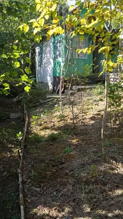 Участок в Краснодарский край, Сочи городской округ, с. Лесное, ... - Фото 2