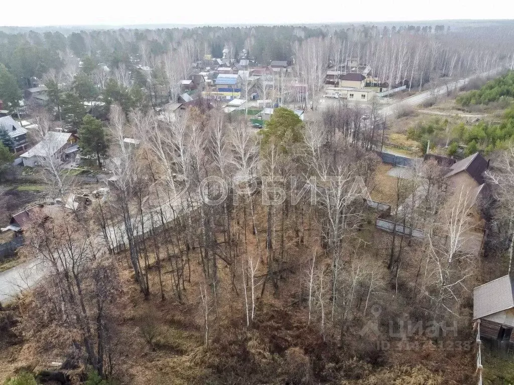 Участок в Тюменская область, Нижнетавдинский район, Геолог-2 СНТ 5-я ... - Фото 1