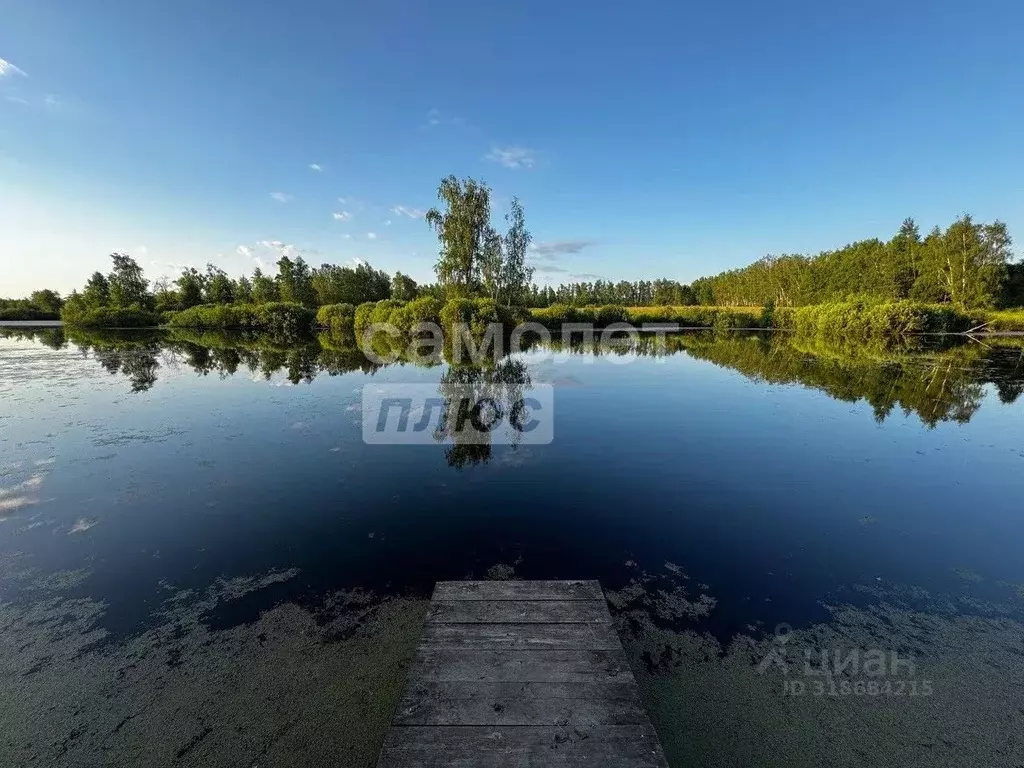 Участок в Тульская область, Веневский район, Мордвесское с/пос, ... - Фото 0