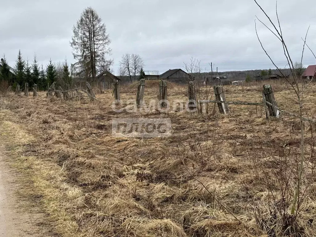Участок в Вологодская область, Сокольский муниципальный округ, д. ... - Фото 0