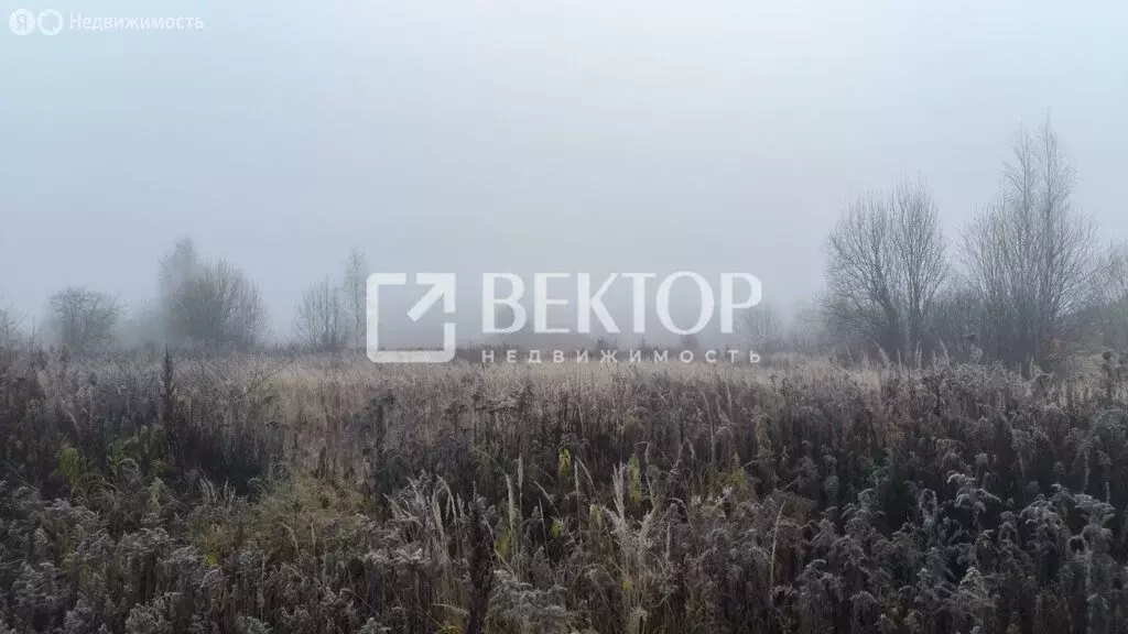 Участок в Кострома, улица Героев (8.8 м) - Фото 1