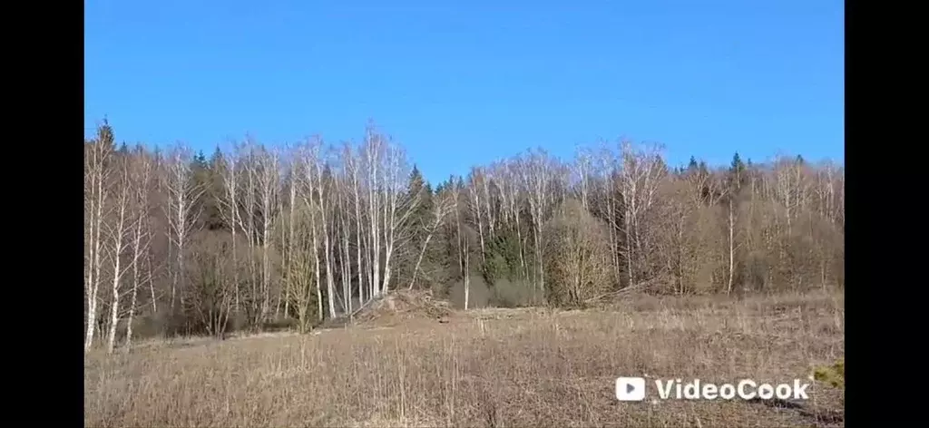 Участок в Калужская область, Боровский муниципальный округ, д. ... - Фото 1