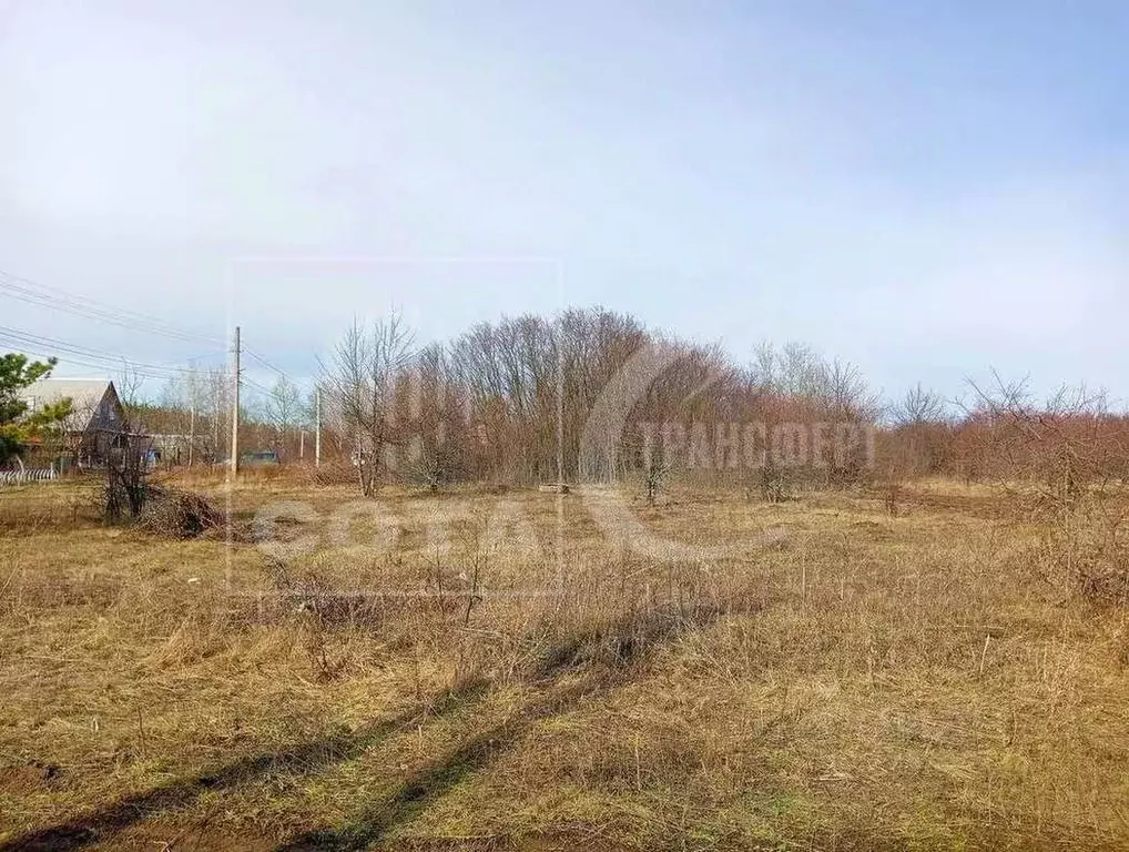 Участок в Воронежская область, с. Новая Усмань  (7.0 сот.) - Фото 1