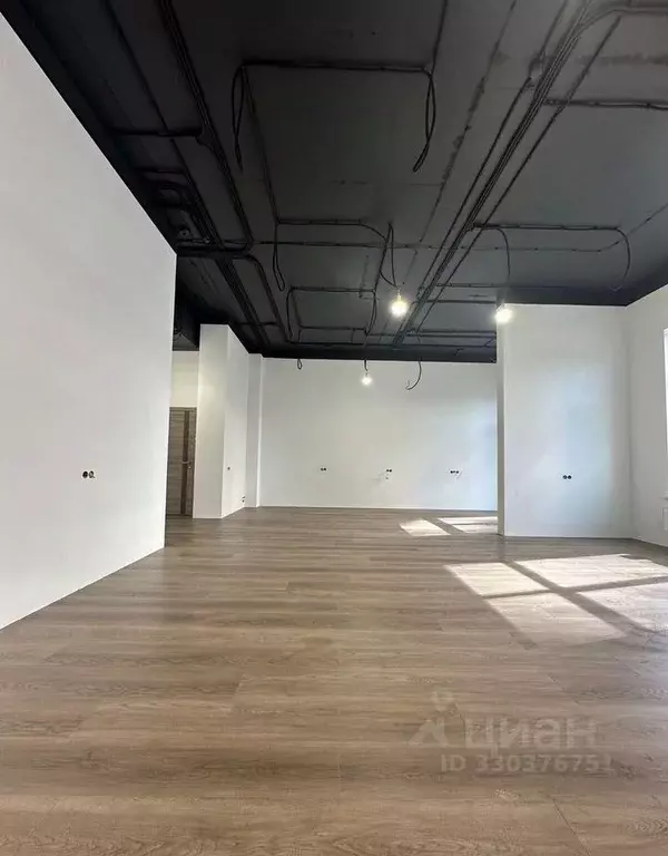 Помещение свободного назначения в Краснодарский край, Краснодар Догма ... - Фото 2