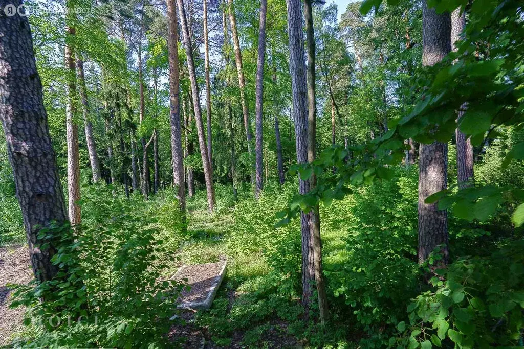 Участок в Одинцовский городской округ, посёлок дачного хозяйства ... - Фото 0