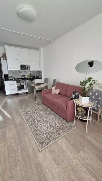 Студия Санкт-Петербург Союзный просп., 4 (23.4 м) - Фото 1