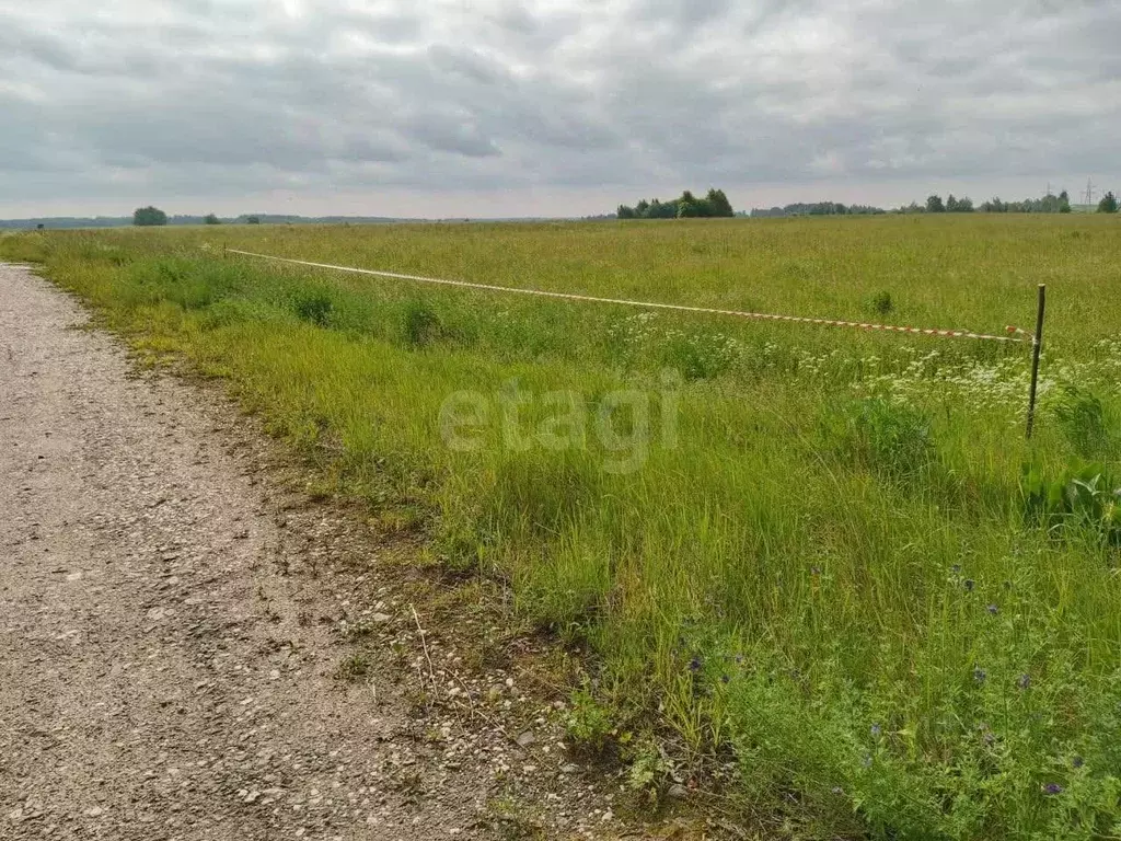 Участок в Брянская область, Брянский район, Добрунское с/пос, д. ... - Фото 2