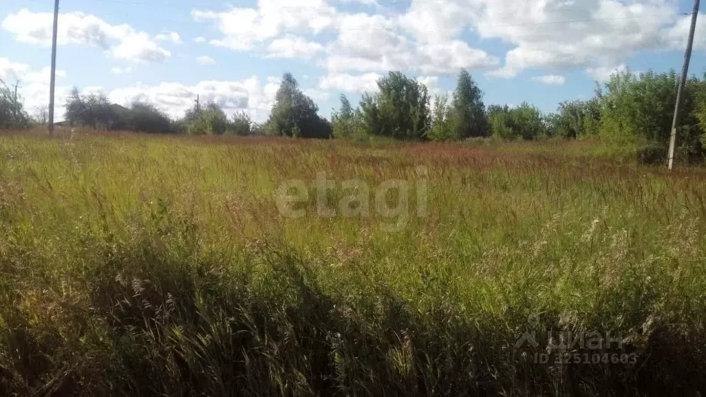 Участок в Брянская область, Брянский район, Добрунское с/пос, д. ... - Фото 1