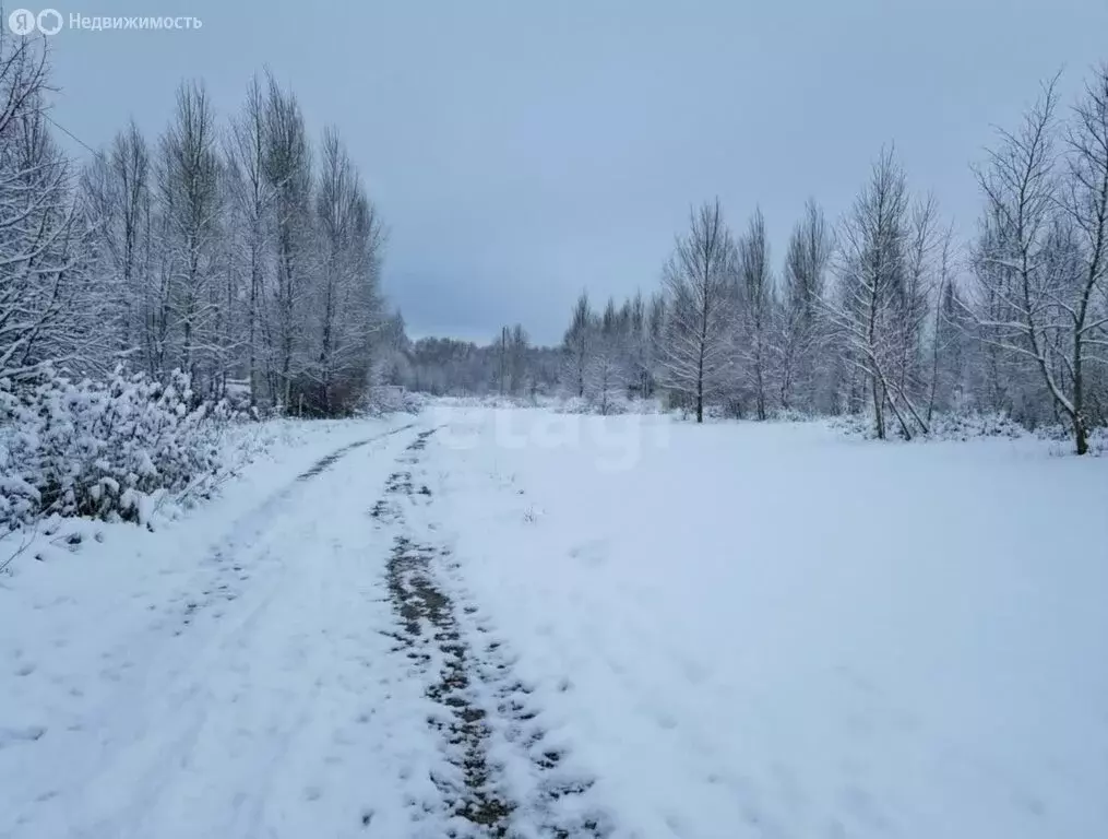 Участок в Тульская область, городской округ Тула, деревня Харино (7 м) - Фото 1