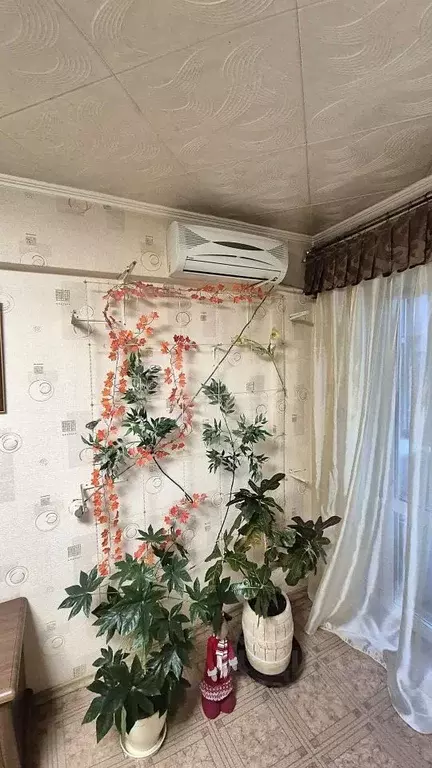 3-к кв. Амурская область, Благовещенск Театральная ул., 35 (56.5 м) - Фото 1