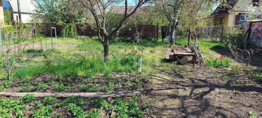 Участок в Саратовская область, Энгельсский район, Красноярское ... - Фото 0