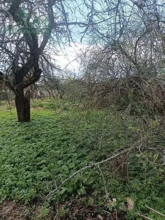 Участок в Смоленская область, Смоленск пос. Вишенки,  (7.27 сот.) - Фото 1