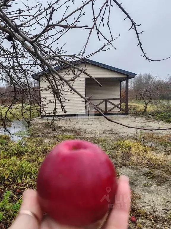 Дом в Калининградская область, Калининград Родник СНТ, ул. Цветочная ... - Фото 0