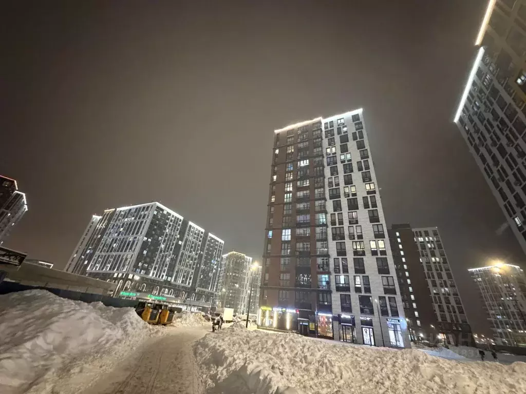 Студия Москва просп. Прокшинский, 10 (27.0 м) - Фото 1