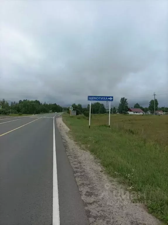 Участок в Ивановская область, Юрьевецкий район, Соболевское с/пос, д. ... - Фото 2