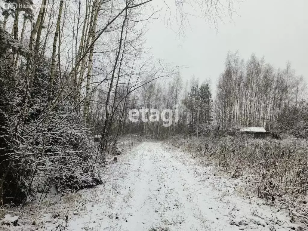 Участок в Петушинский район, муниципальное образование Нагорное, СНТ ... - Фото 0