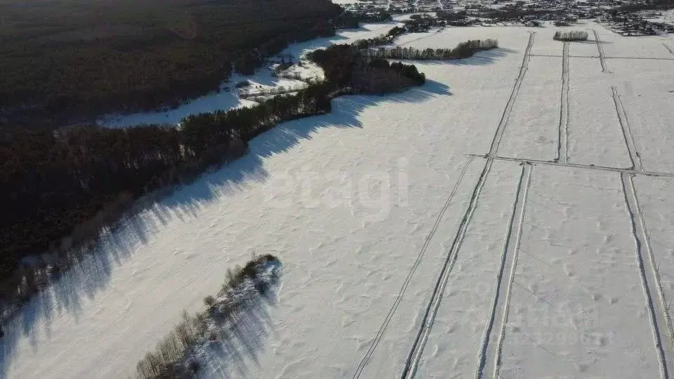Участок в Свердловская область, Тугулымский муниципальный округ, с. ... - Фото 1