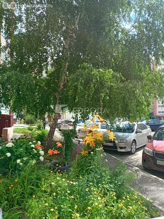 1-комнатная квартира: Барнаул, 5-я Западная улица, 59 (31.2 м) - Фото 1