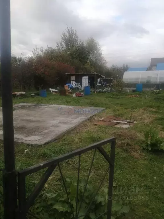 Участок в Нижегородская область, Нижний Новгород Надежда СНТ, 596 ... - Фото 2