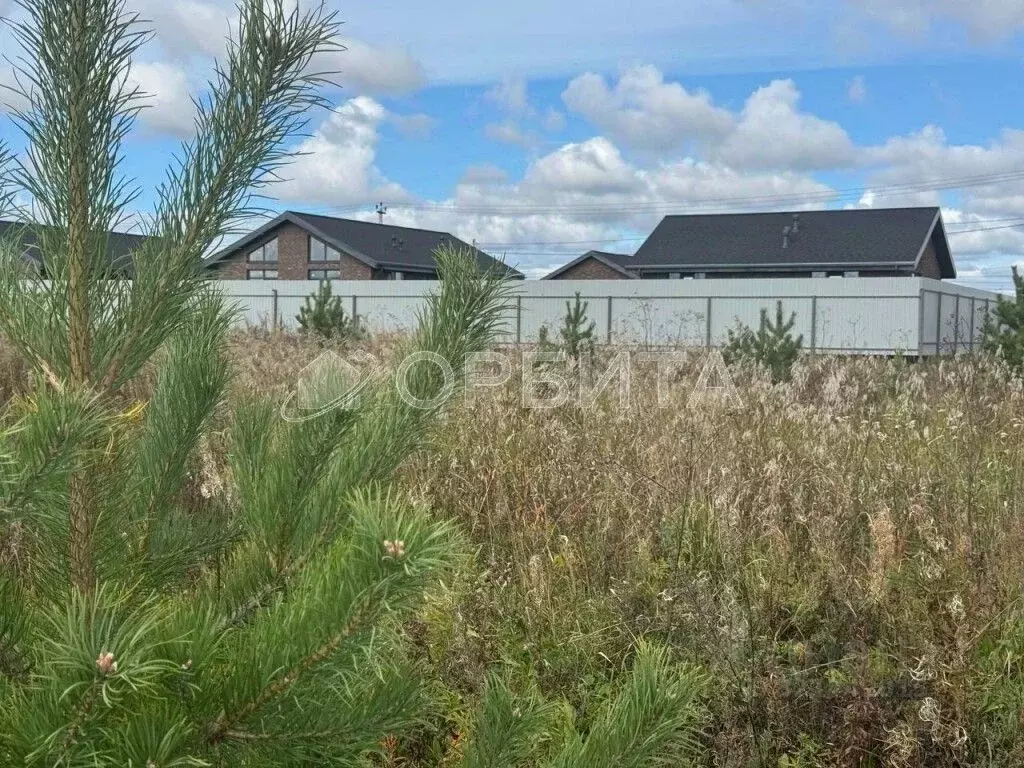 Участок в Тюменская область, Тюменский муниципальный округ, д. Елань  ... - Фото 1